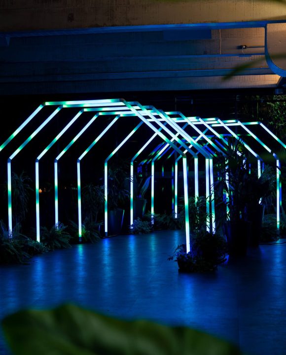 foto (190 de 366) (1)